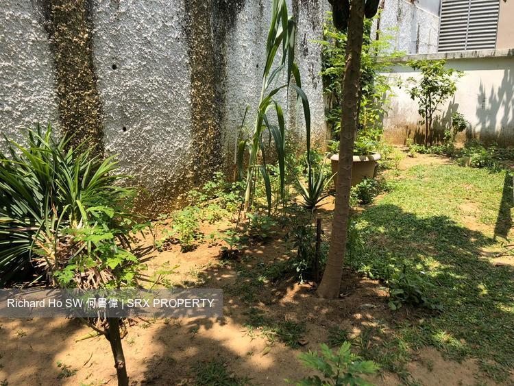Phillips Avenue (D19), Terrace #215068471